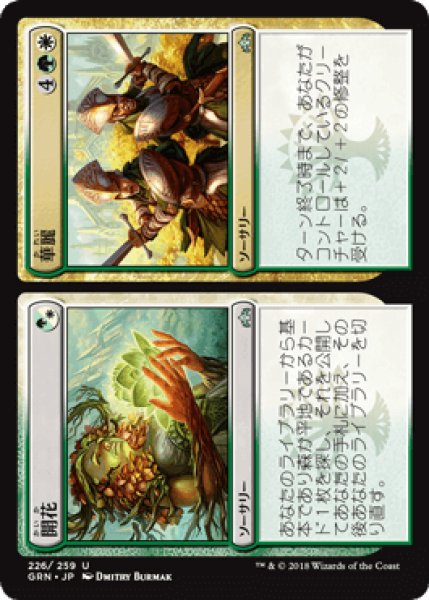 画像1: 開花+華麗/Flower+Flourish [GRN] (1)