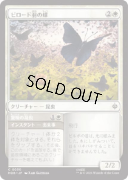 画像1: ビロード羽の蝶/Velvetwing Butterflies  [HOB] (1)