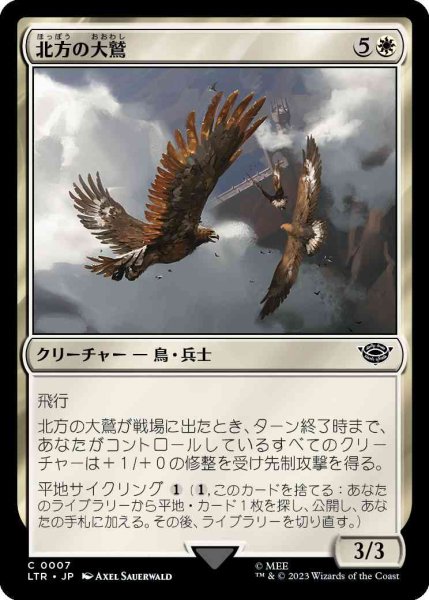 画像1: 北方の大鷲/Eagles of the North [LTR] (1)