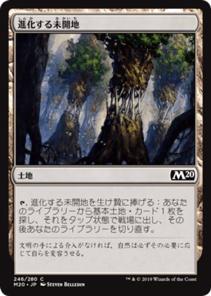 画像1: 進化する未開地/Evolving Wilds [M20] (1)