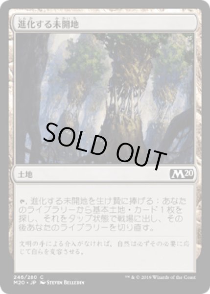 画像1: 進化する未開地/Evolving Wilds [M20] (1)