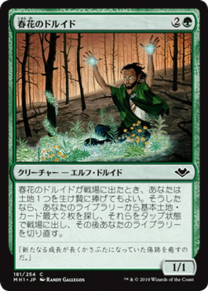 画像1: 春花のドルイド/Springbloom Druid [MH1] (1)