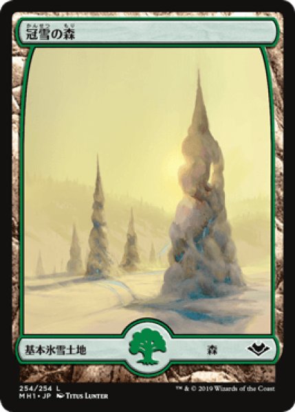 画像1: [FOIL] 冠雪の森/Snow-Covered Forest [MH1] (1)