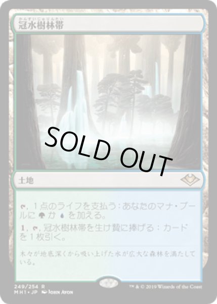 画像1: [FOIL] 冠水樹林帯/Waterlogged Grove [MH1] (1)