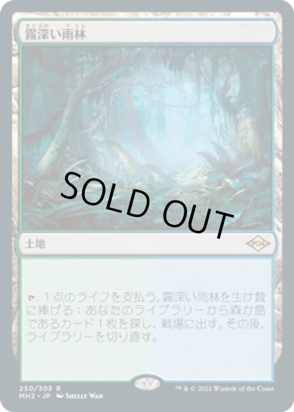 画像1: [FOIL] 霧深い雨林/Misty Rainforest [MH2] (1)