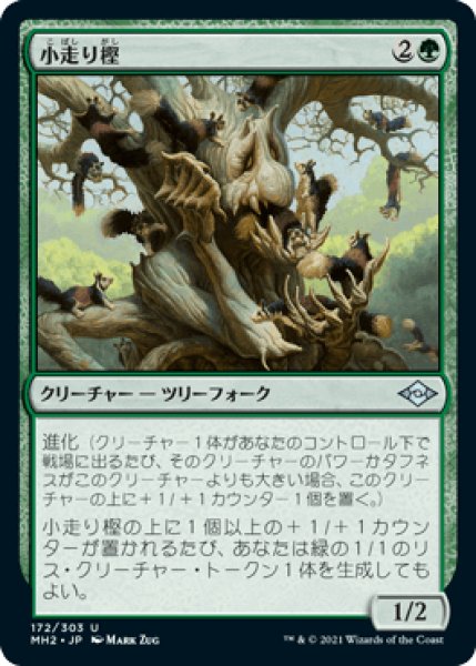 画像1: 小走り樫/Scurry Oak [MH2] (1)