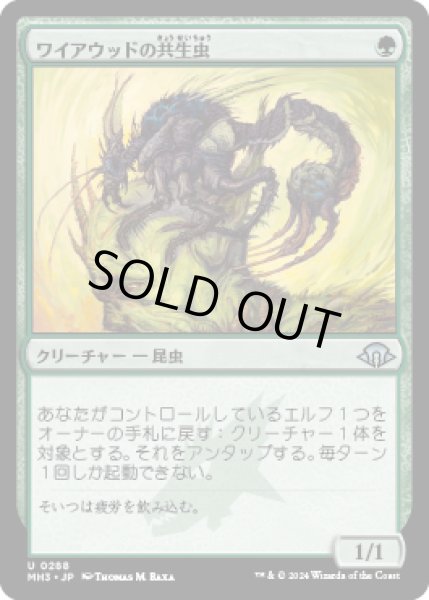 画像1: ワイアウッドの共生虫/Wirewood Symbiote [MH3] (1)