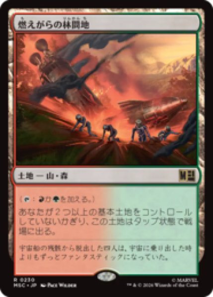 画像1: 燃えがらの林間地/Cinder Glade  [MSC] (1)