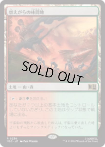 画像1: 燃えがらの林間地/Cinder Glade  [MSC] (1)