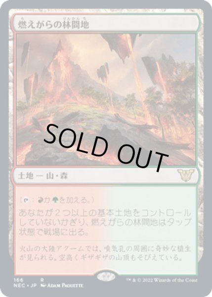 画像1: 燃えがらの林間地/Cinder Glade [NEC] (1)
