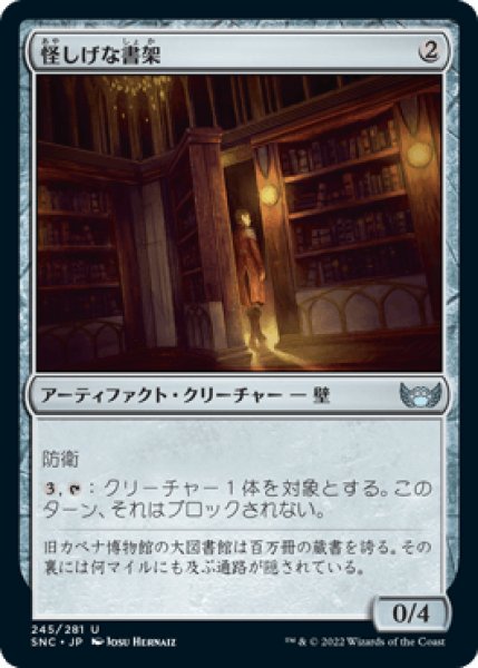 画像1: 怪しげな書架/Suspicious Bookcase [SNC] (1)