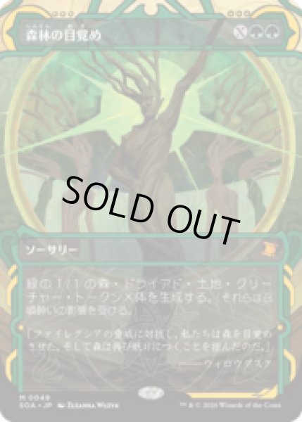 画像1: 森林の目覚め/Awaken the Woods [SOA] (1)