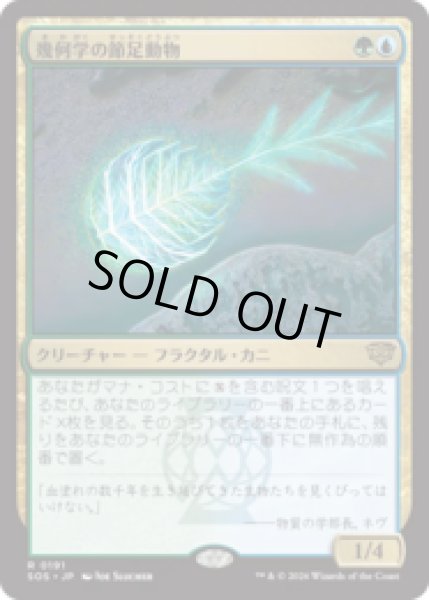 画像1: 幾何学の節足動物/Geometer's Arthropod [SOS] (1)