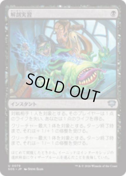 画像1: 解剖実習/Dissection Practice [SOS] (1)