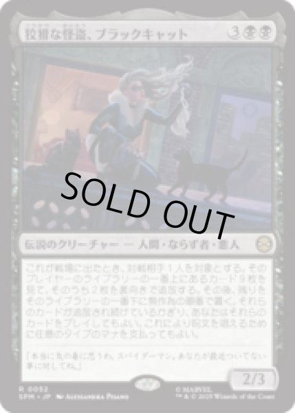 画像1: 狡猾な怪盗、ブラックキャット/Black Cat, Cunning Thief [SPM] (1)