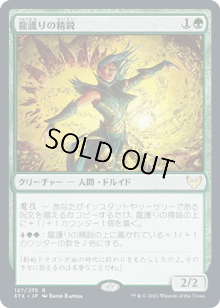 画像1: 龍護りの精鋭/Dragonsguard Elite [STX] (1)