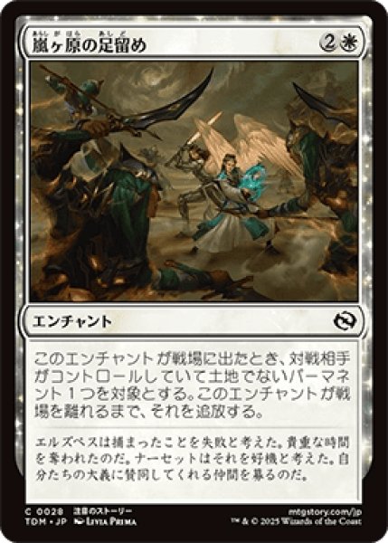 画像1: 嵐ヶ原の足留め/Stormplain Detainment [TDM] (1)