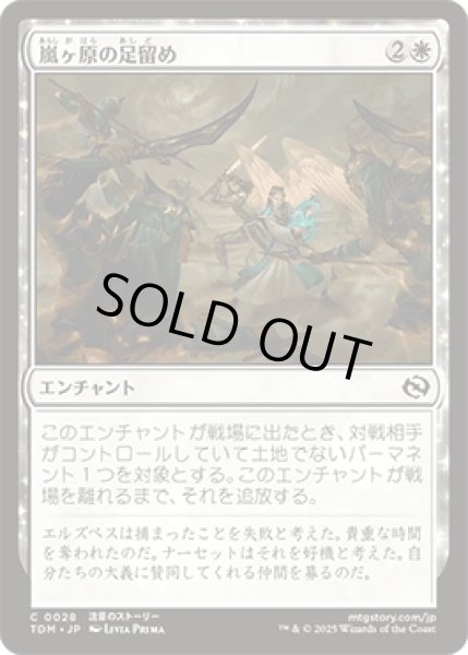 画像1: 嵐ヶ原の足留め/Stormplain Detainment [TDM] (1)