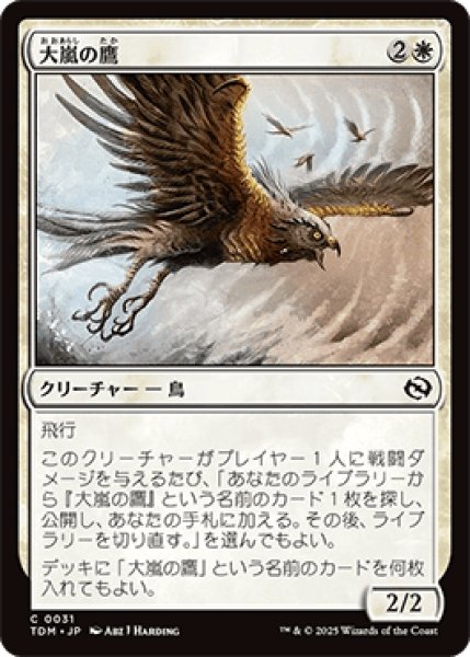 画像1: 大嵐の鷹/Tempest Hawk [TDM] (1)