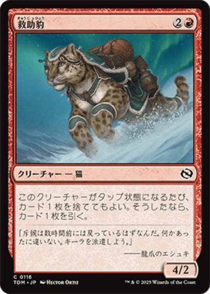 画像1: 救助豹/Rescue Leopard [TDM] (1)