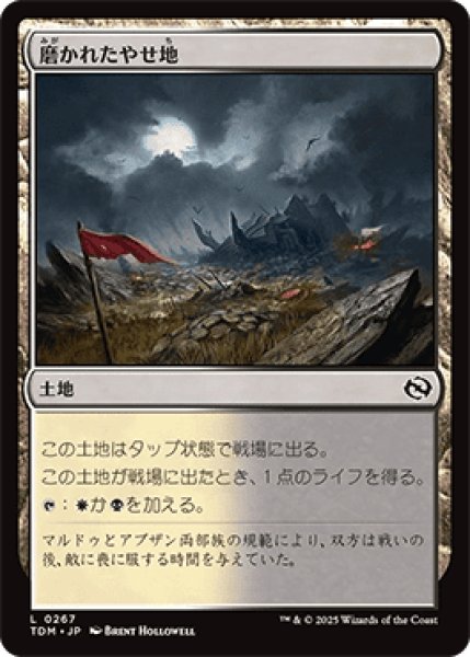 画像1: 磨かれたやせ地/Scoured Barrens [TDM] (1)