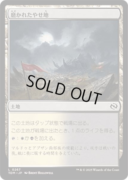画像1: 磨かれたやせ地/Scoured Barrens [TDM] (1)