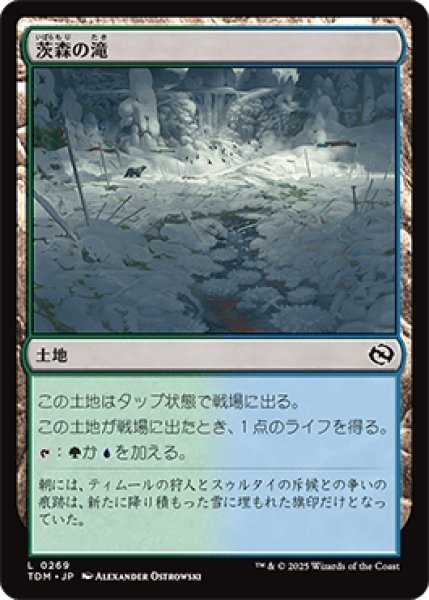 画像1: 茨森の滝/Thornwood Falls [TDM] (1)