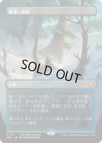 画像1: [ボーダーレス] 霧深い雨林/Misty Rainforest [TDMSPG] (1)