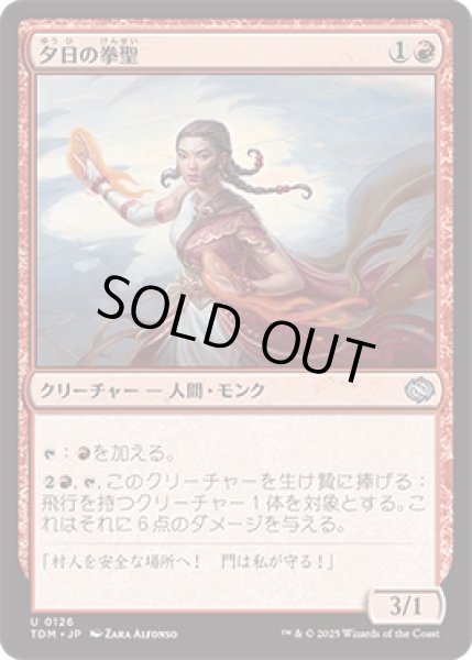 画像1: 夕日の拳聖/Sunset Strikemaster [TDM] (1)