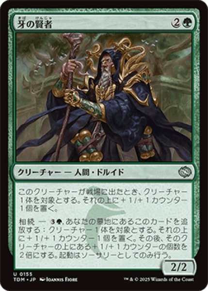 画像1: 牙の賢者/Sage of the Fang [TDM] (1)