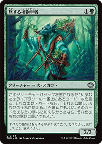 画像1: 旅する植物学者/Traveling Botanist [TDM] (1)