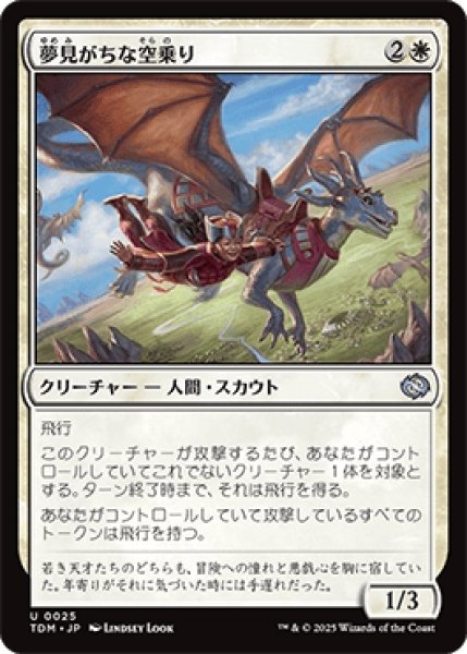 画像1: 夢見がちな空乗り/Starry-Eyed Skyrider [TDM] (1)