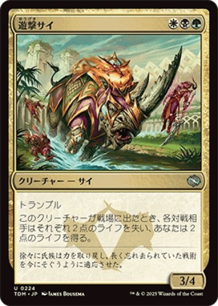 画像1: 遊撃サイ/Skirmish Rhino [TDM] (1)