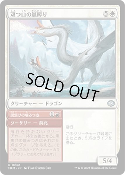 画像1: 双つ口の嵐孵り/Twinmaw Stormbrood [TDM] (1)