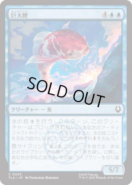 画像1: 巨大鯉/Giant Koi [TLA] (1)