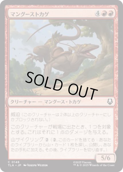 画像1: マングーストカゲ/Mongoose Lizard [TLA] (1)