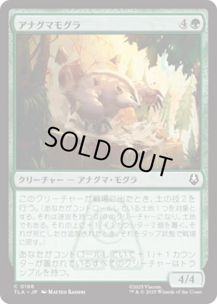 画像1: アナグマモグラ/Badgermole [TLA] (1)