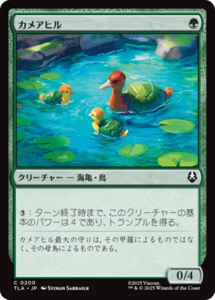 画像1: カメアヒル/Turtle-Duck [TLA] (1)