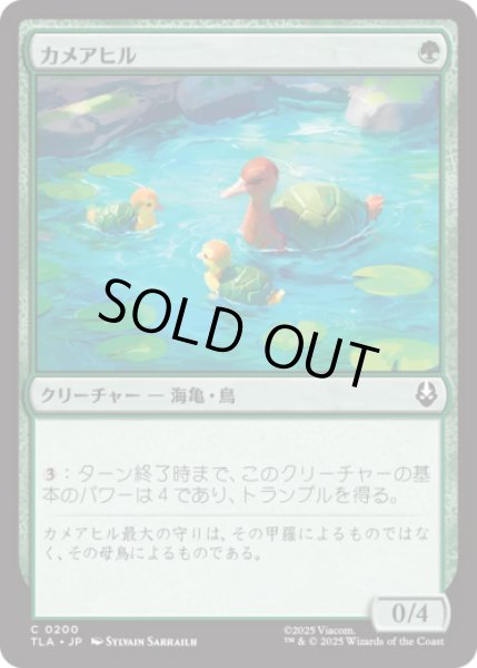 画像1: カメアヒル/Turtle-Duck [TLA] (1)