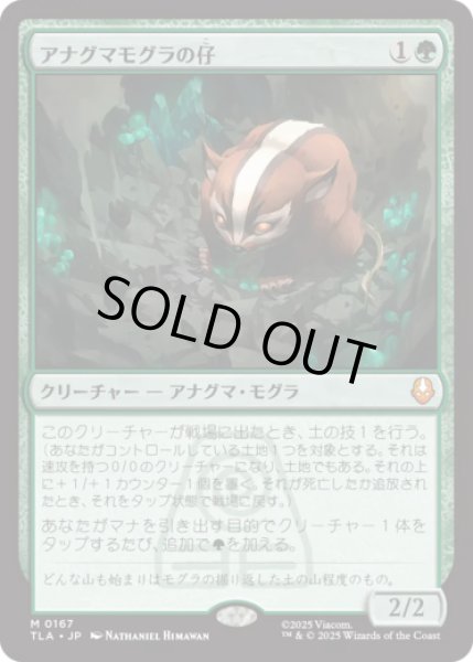 画像1: アナグマモグラの仔/Badgermole Cub [TLA] (1)