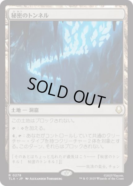 画像1: 秘密のトンネル/Secret Tunnel [TLA] (1)