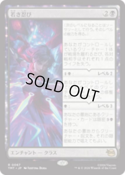 画像1: 若き忍び/Ninja Teen [TMT] (1)