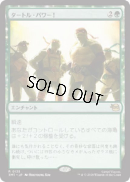 画像1: タートル・パワー！/Turtle Power! [TMT] (1)