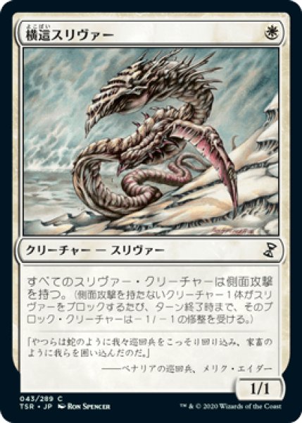 画像1: 横這スリヴァー/Sidewinder Sliver [TSR] (1)