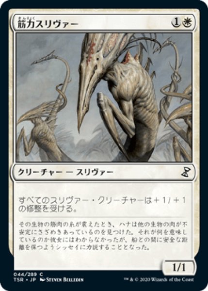 画像1: 筋力スリヴァー/Sinew Sliver [TSR] (1)