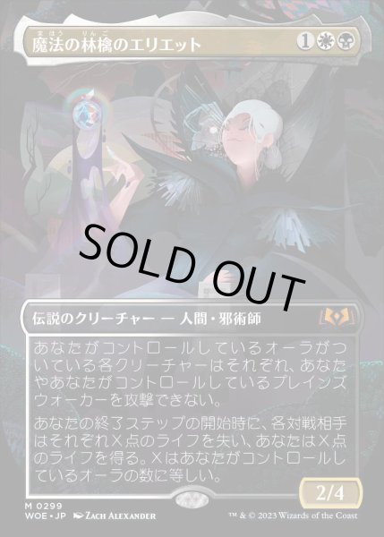 画像1: [ボーダーレス] 魔法の林檎のエリエット/Eriette of the Charmed Apple [WOE] (1)