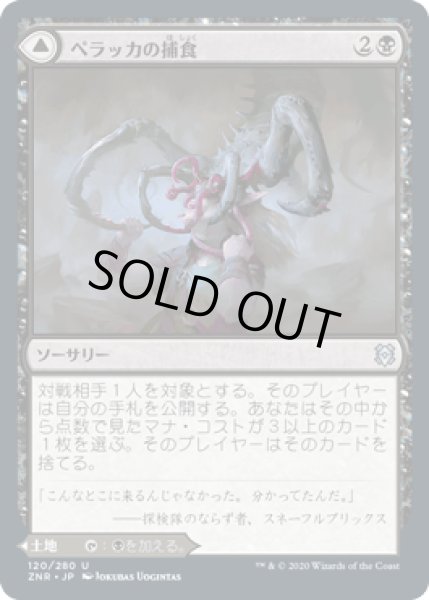 画像1: ペラッカの捕食/Pelakka Predation [ZNR] (1)