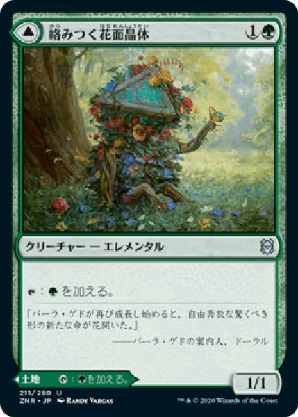 画像1: 絡みつく花面晶体/Tangled Florahedron [ZNR] (1)